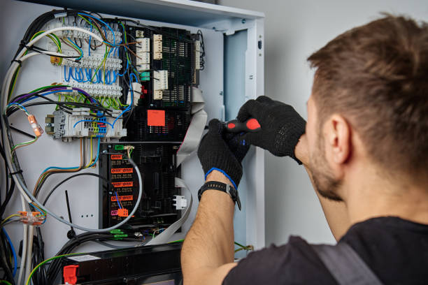 Licensed Electrical Panel Upgrade service in Benjamin, UT - No Joke electrician